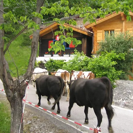 Gypaete, Les Rochers,
